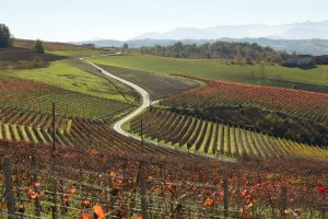 Barolo Piedmont cycling Trip