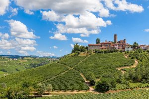 Barolo Piedmont cycling Trip