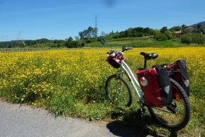 Porto to Santiago de Compostela