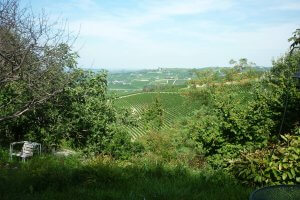 Barolo Piedmonte Cycling Tour