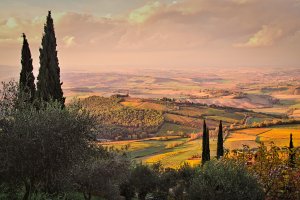 Lucca to Siena Tour