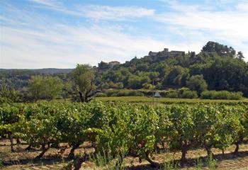 Bike rentals Provence