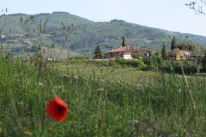 Eroica 3 stages