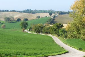 Strade Bianche Cycling Trip