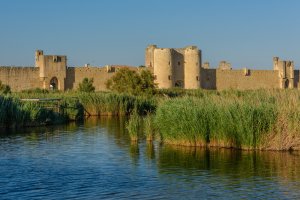 Cycling in Provence & Camargue