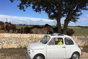 Bike Trip South Puglia