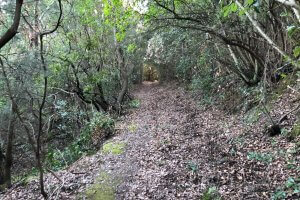 Bike Friendly Boschi di Montecalvi Tuscany