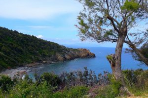 Bike Friendly Boschi di Montecalvi Tuscany