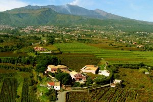 Cycling Trip Mount Etna to Ionian Sea