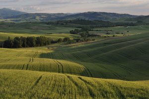 Cycling-Tuscany Siena-Sansepolcro