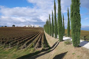 Tuscany Cycling trip