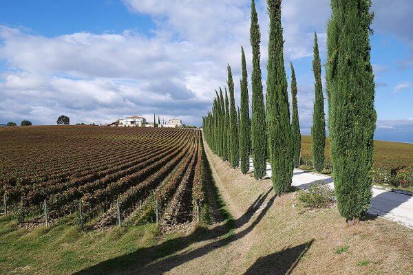 Self guided cycling Trip Tuscany Siena to Sansepolcro