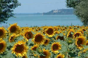 E bike tour Umbria Assisi to Perugia