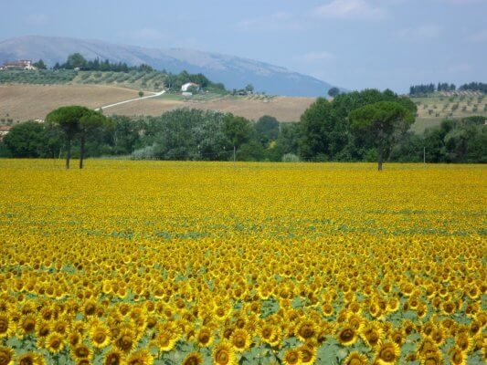 Self guided cycling Tour Umbria