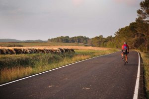 Bike Holiday in Catalonia