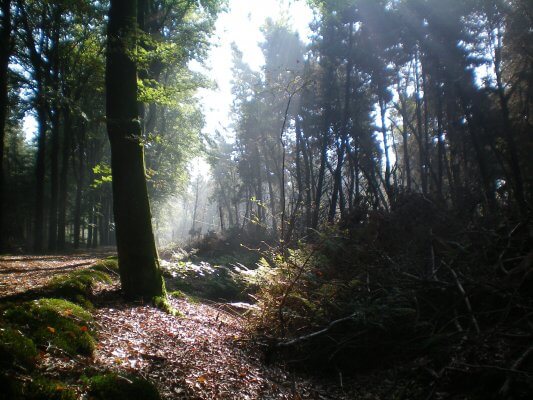 Fahrradverleih Bakkeveen