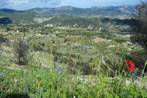 Self Guided Costa Blanca Road Cycling Tour