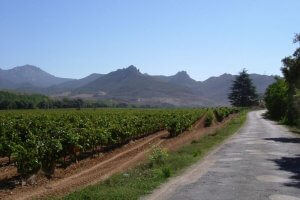 La Rioja and Cantabria cycling Trip