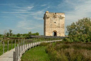 Cycling in Provence & Camargue