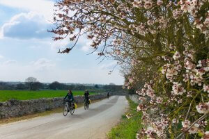 Puglia Matera to Lecce Cycling Tour