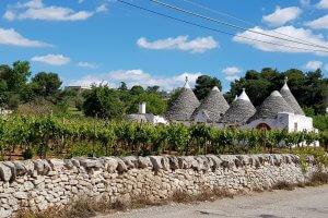 Puglia Matera to Lecce Cycling Tour