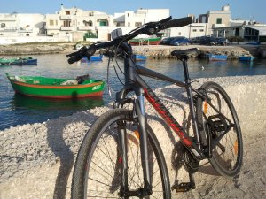 Self-Guided Trekking Bike