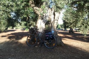 Self guided cycling Trip Puglia Coast