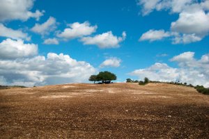 Cycling tour Sicily