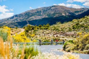 Sierra Nevada and Granada Road Cycling Tours