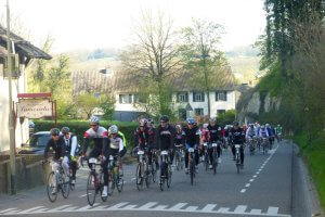 Amstel gold cycling race