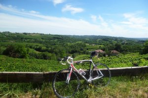 Bike Hotel Dei Chiostri