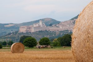 Self guided bike Trip Umbria