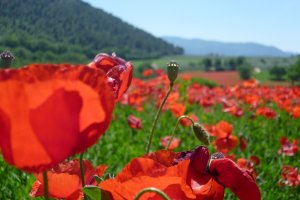 Self guided bike Trip Umbria