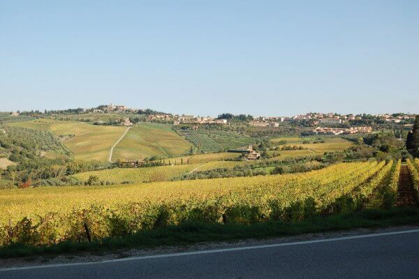 Alquiler bicicleta Chianti