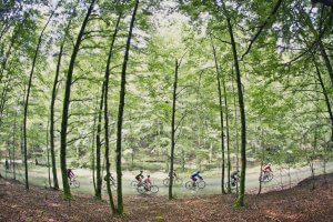 Road bike Holiday Spanish Pyrenees