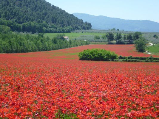 cycling tour Tuscany and Umbria