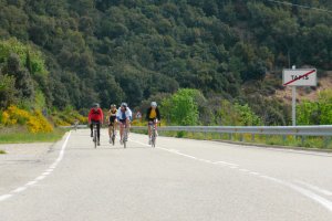 Road cycling Trip Girona