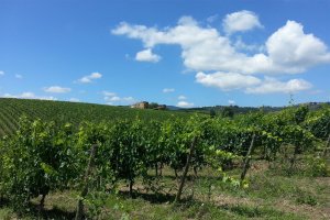 Classic Tuscany Cycling Tours