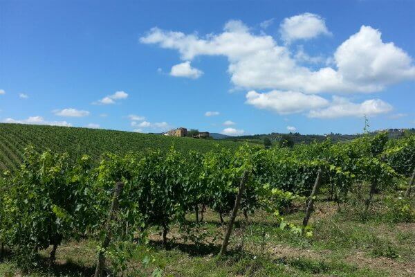 Classic Tuscany Cycling Tours