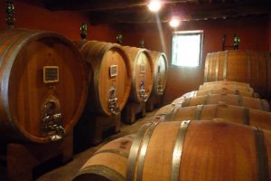 Tuscany Coast Tour