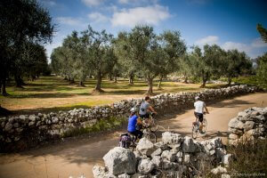 Classic Salento Cycling Tour