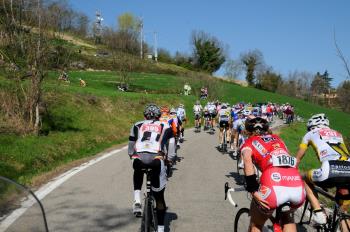 Fahrradverleih Gabicce Mare 