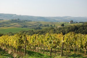 Cycling Tour San Gimignano