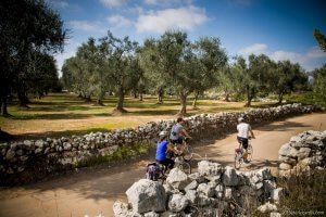 Salento cycling tour