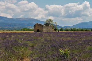 Provence Road Cycling Tour
