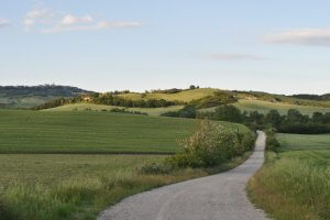 Coast to coast Tour Marche, Umbria and Tuscany