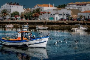 Cycling Tours Algarve