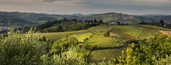 Tuscany Umbria road cycling tour